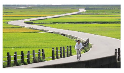 金城武, 雙眼皮 金城武, 雙眼皮