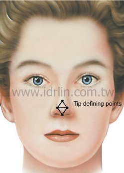 韓式隆鼻塑造完美鼻頭 韓式隆鼻塑造完美鼻頭