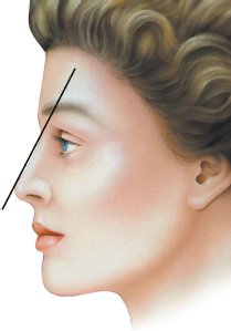 女姓鼻頭比山根略高2mm,男姓鼻頭與山根等高 女姓鼻頭比山根略高2mm,男姓鼻頭與山根等高