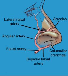 放鬆軟骨間的連結 放鬆軟骨間的連結