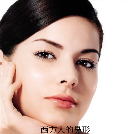 西方人鼻型 西方人鼻型