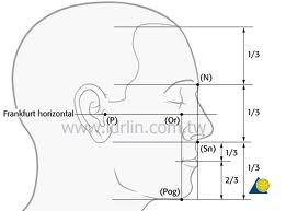 芭比整形術中韓式隆鼻與下巴整形所應注意的黃金比例 芭比整形術中韓式隆鼻與下巴整形所應注意的黃金比例
