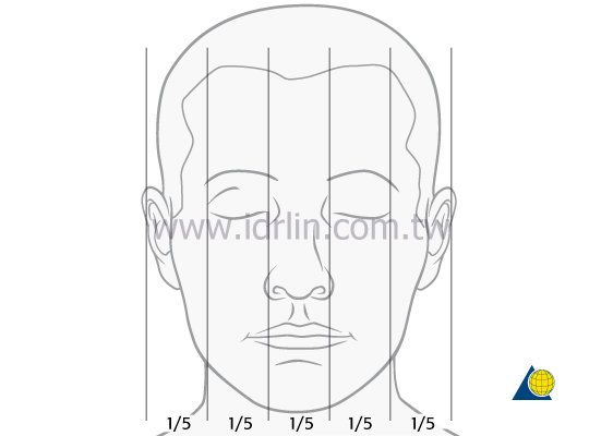 芭比整形術的黃金比例 芭比整形術的黃金比例