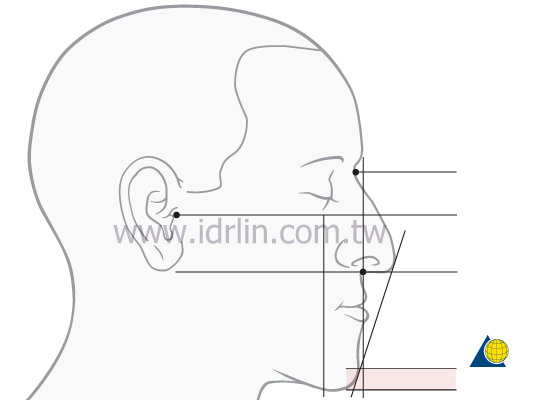 芭比整形術從鼻尖,嘴唇到下巴要盡量符合「美容線」 芭比整形術從鼻尖,嘴唇到下巴要盡量符合「美容線」