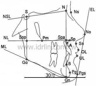 小V臉從側面看小V臉,呈30度剛剛好 小V臉從側面看小V臉,呈30度剛剛好