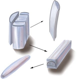 全自體肋骨 韓式隆鼻 全自體肋骨 韓式隆鼻