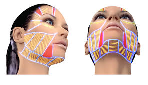 Ulthera 極線音波拉提是同步取得美國FDA”lifting(拉提)”及台灣衛福部”眉毛拉提使用”雙核可的音波療程 Ulthera 極線音波拉提是同步取得美國FDA”lifting(拉提)”及台灣衛福部”眉毛拉提使用”雙核可的音波療程